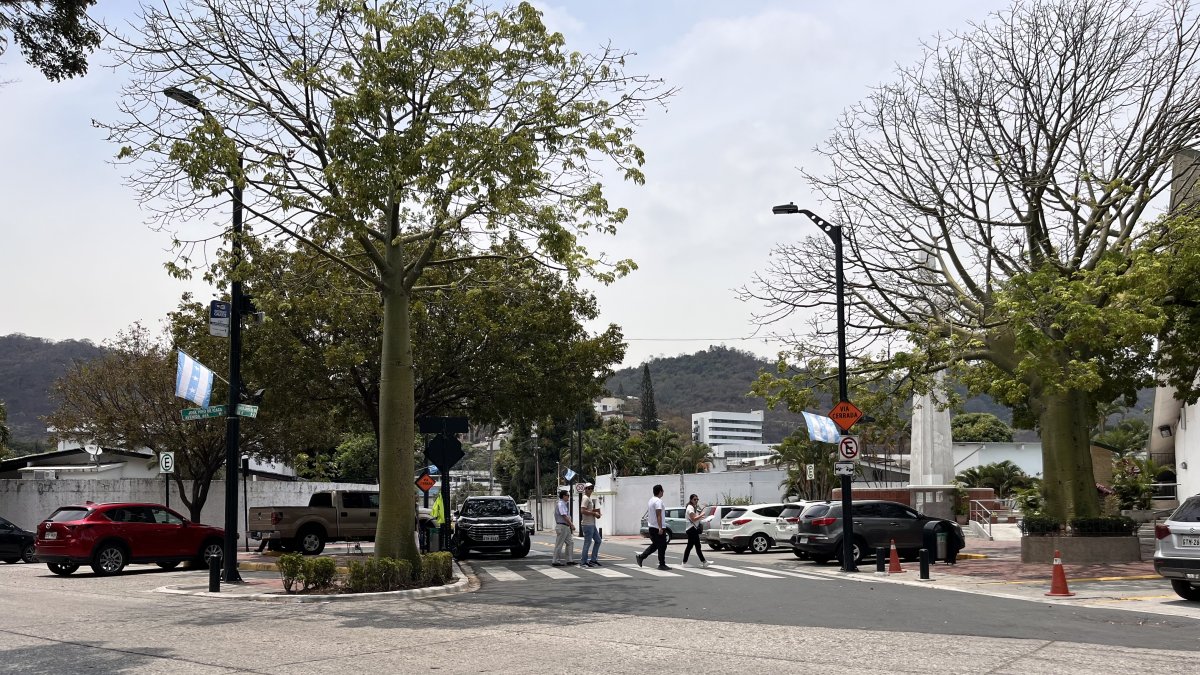 En el sector de Los Ceibos, las familias denuncian haberse quedado sin luz, al menos, dos horas antes de lo previsto. CNEL no explica aún por qué. .