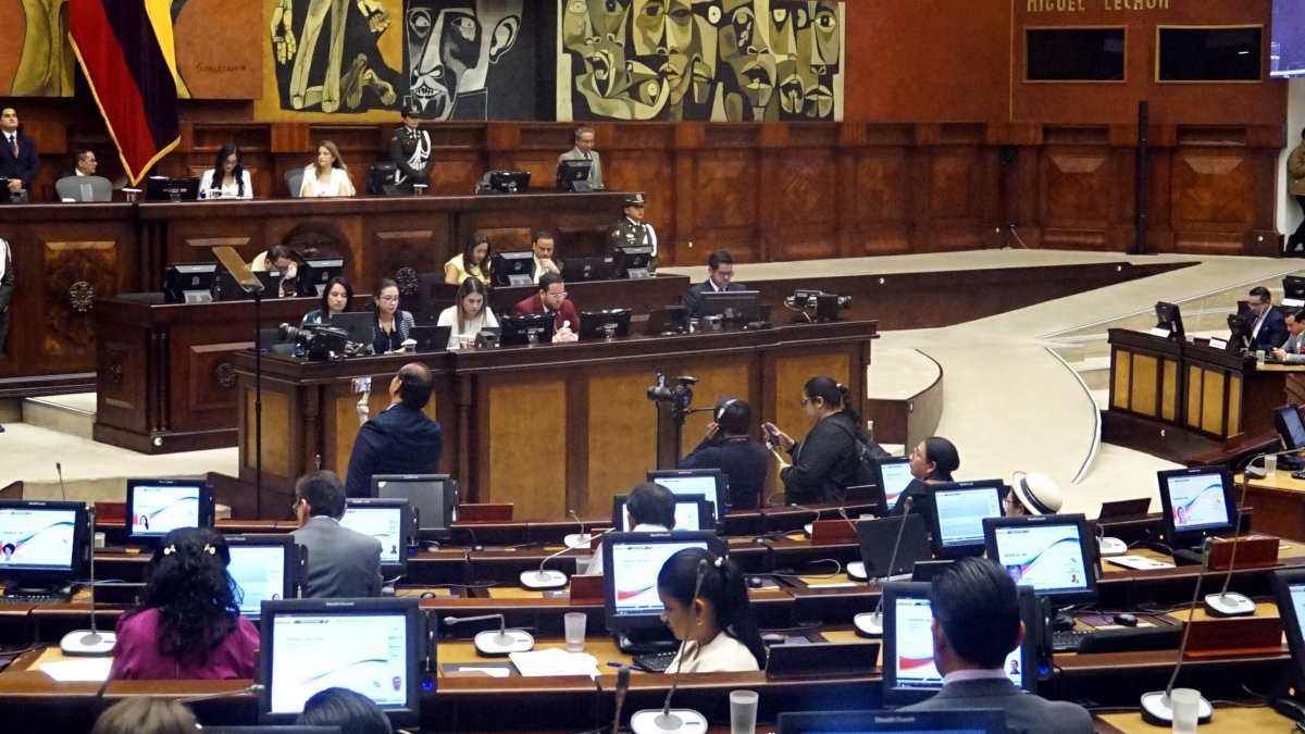 El Pleno de la Asamblea Nacional elegirá a su primer vicepresidente el martes 8 de octubre de 2024.