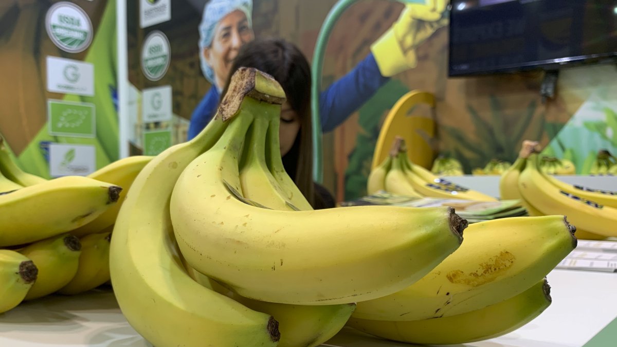 Fruta. Bananas de Ecuador en la feria Fruit Attraction 2024, en Madrid.