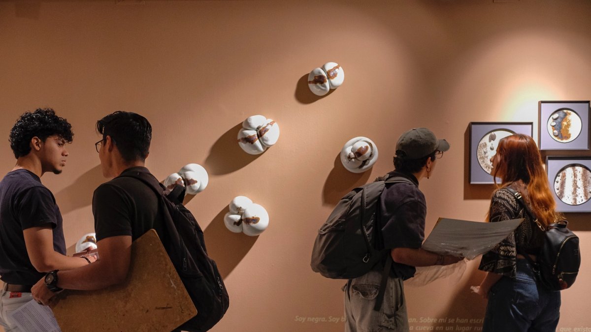 Las obras de los artistas Sofía Ullauri, Marcela Roldán, Natalia Espinosa y Daniel Espinosa son parte de la exposición.