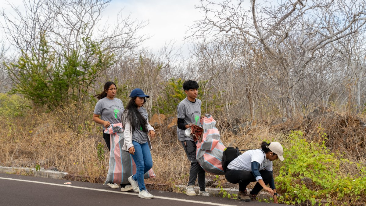 Solo durante una jornada de limpieza masiva en septiembre se recolectó 1.8 toneladas de residuos en Galápagos.