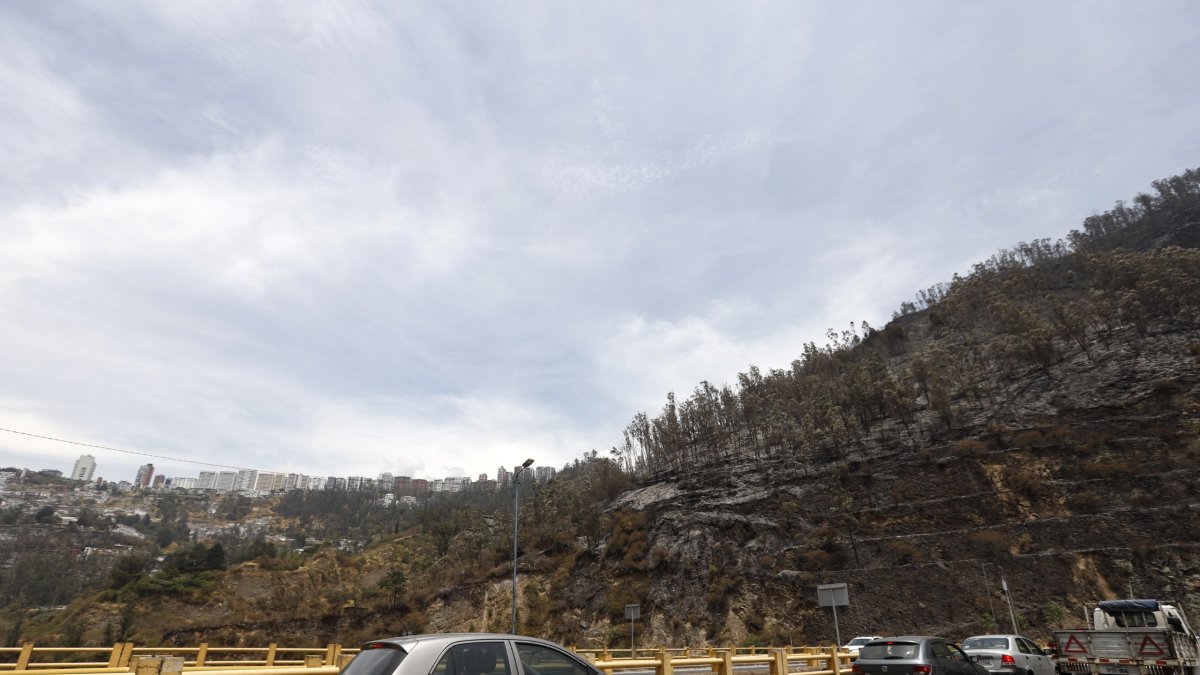 Incendio forestal consumió las laderas de barrio Bolaños, Bellavista y Los Conquistadores