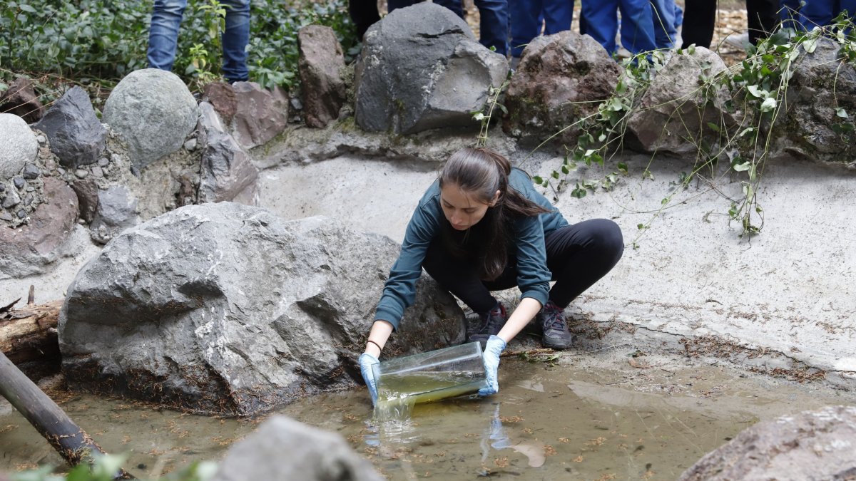 Las Cuadras. En el parque del sur se reintrodujo 267 ‘uilli uillis’.