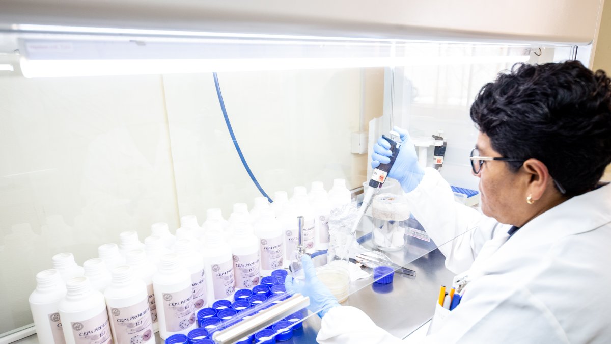 Investigación. Universidades buscan que sus proyectos de investigación sean conocidos en todo el mundo.