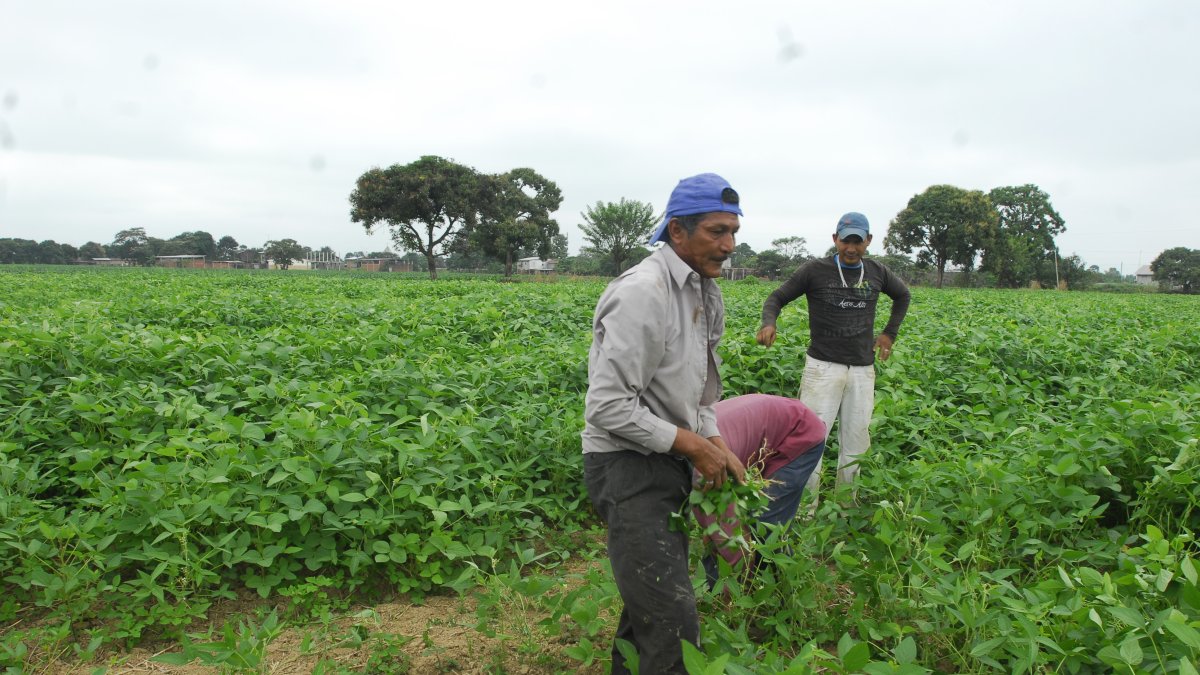 El Gobierno presentó un plan para 2024 y 2025 para el desarrollo agrícola.