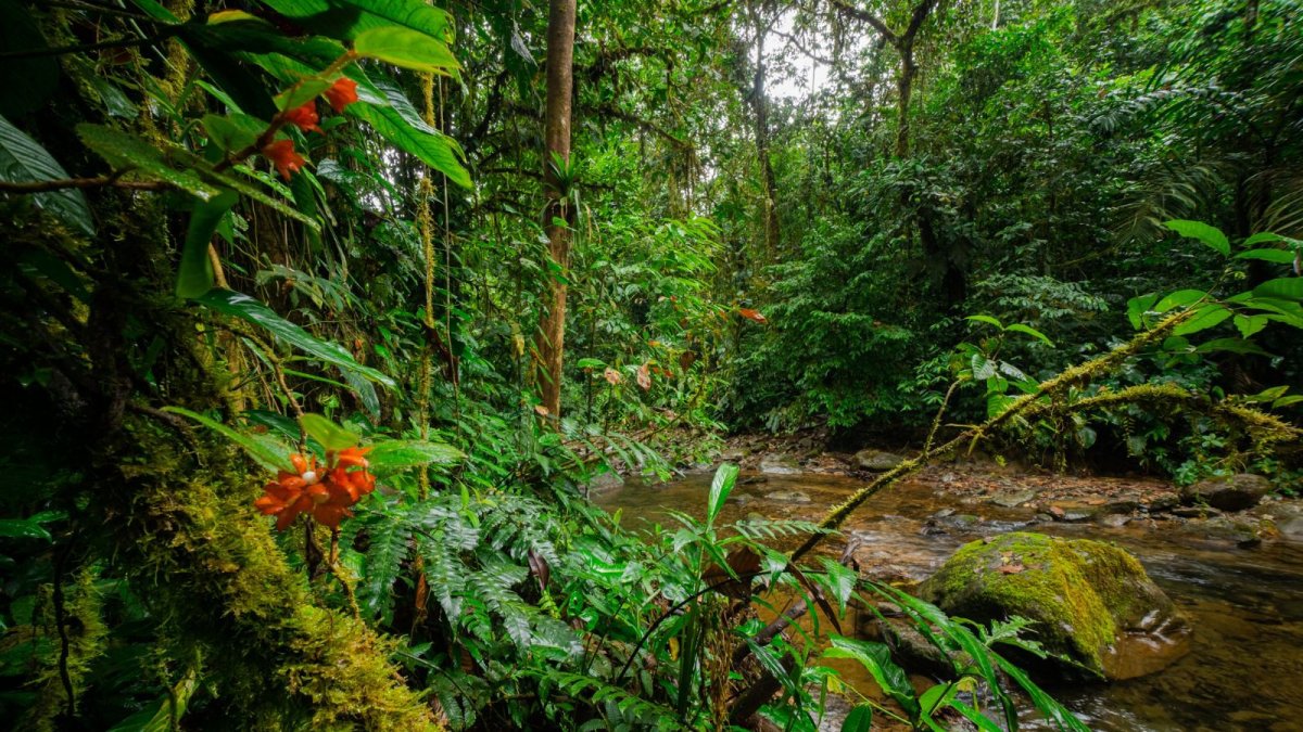 El país tiene la opción de volver rentable sus recursos naturales.