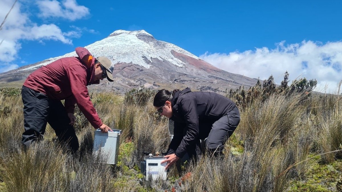 Personal del Instituto Geofísico realiza un mantenimiento constante de los equipos de monitoreo.