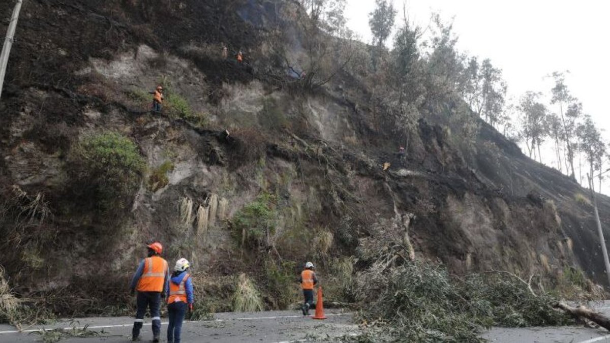 Los árboles en la zona estaban a punto de caer.