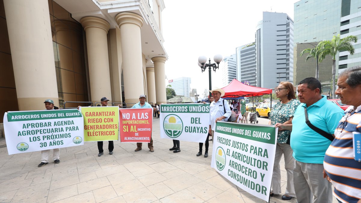 Las asociación de arroceros exigen medidas al Gobierno.