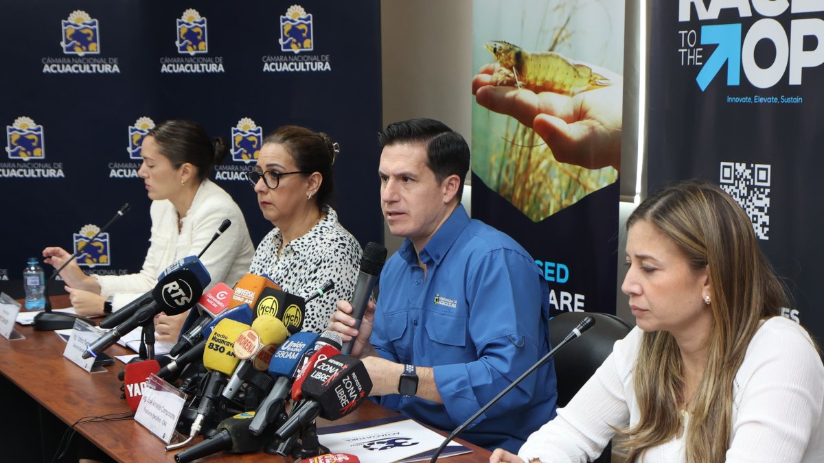 José Antonio Camposano, presidente de la CNA, se refirió al tema de la crisis energética, en rueda de prensa.