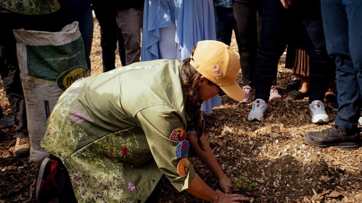 La Fundación ha trabajado en más de 15 poblaciones sembrando árboles nativos.