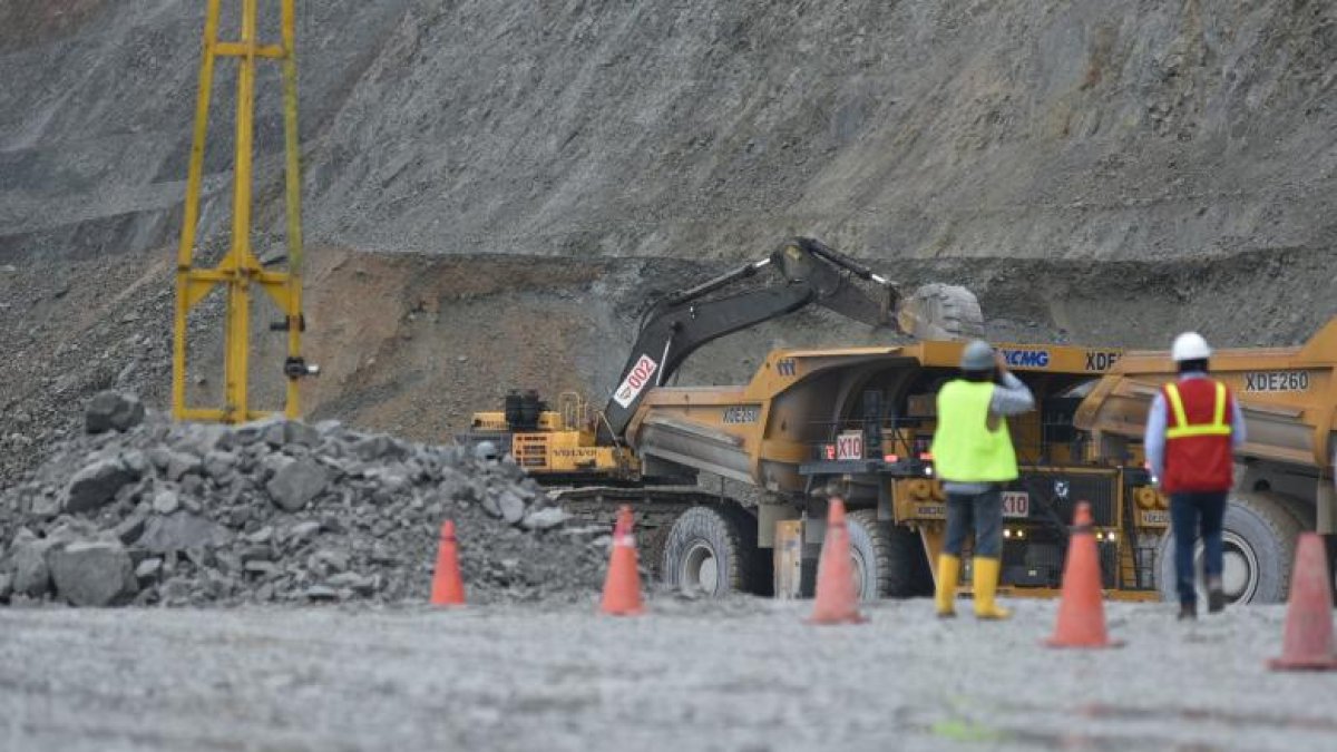 Expertos refieren que la eliminación del subsidio no afectaría en los réditos del sector.
