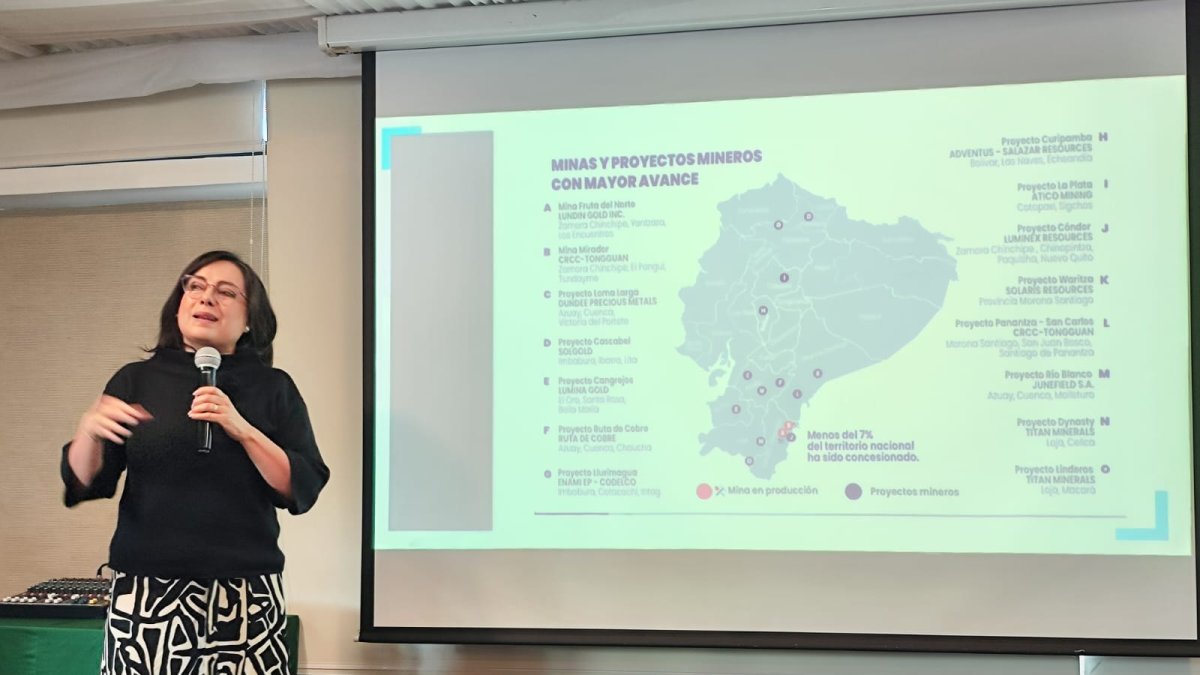 El gremio se defiende y expone que las tarifas del sector son parte de un pliego aprbado para el sector industrial. En la foto María Eulalia Silva, presidenta de la Cámara de Minería de Ecuador.