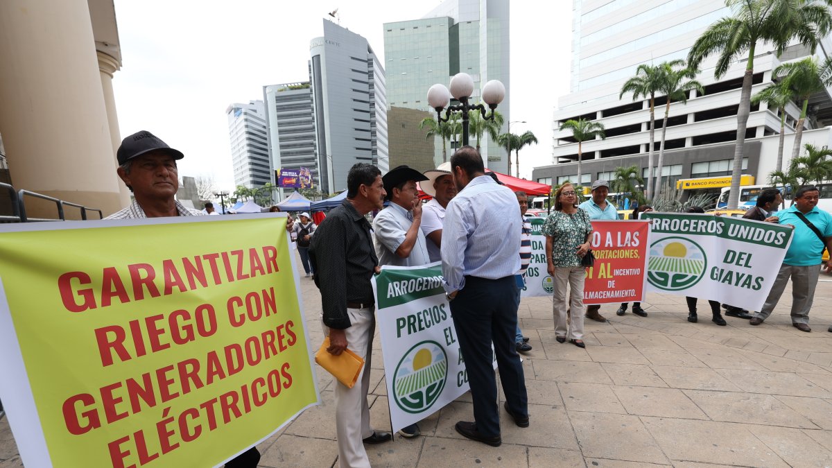 Plantón. Arroceros de asociaciones de Daule, Santa Lucía, Salitre y Samborondón se manifestaron en Guayaquil.