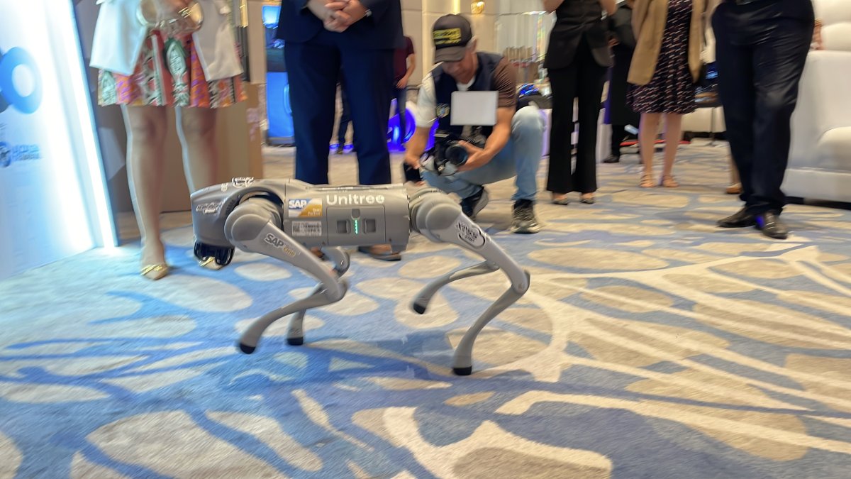 Un perro robot es una de las principales atracciones de este evento que reúne a varios expertos.