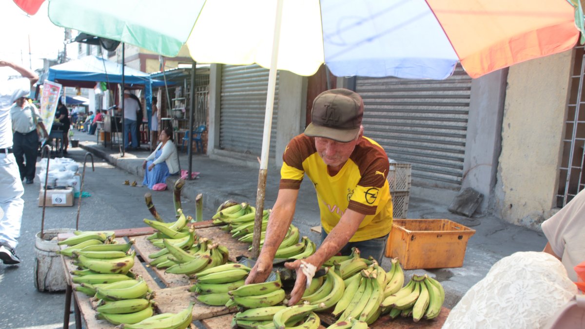 Plaza. Uno de los puestos donde se vende el verde.