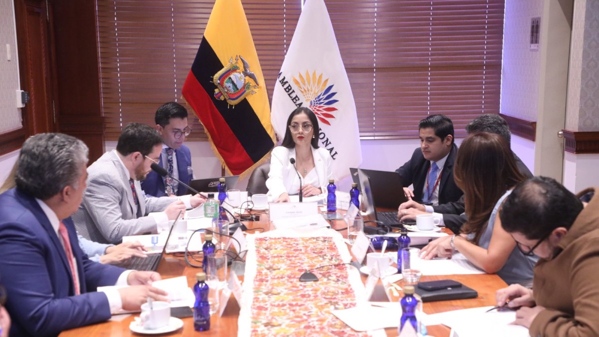 El CAL es presidido por la titular de la Asamblea, Viviana Veloz.