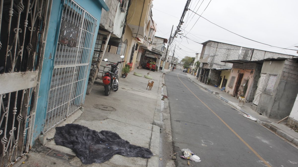 Este hecho violento se registró en el sur de Guayaquil.