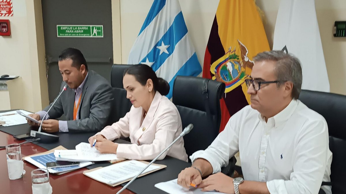 La ministra (e) Inés Manzano y el exministro Antonio Gonçalves están entre los denunciados por la asambleísta Gissela Molina.