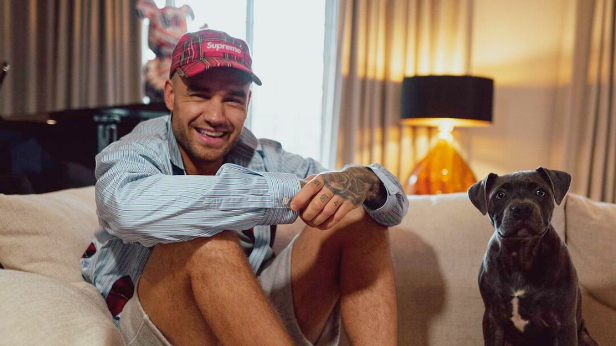 Liam Payne en sus mejores interpretaciones con One Direction en las que se destaca su voz única en temas icónicos de la banda