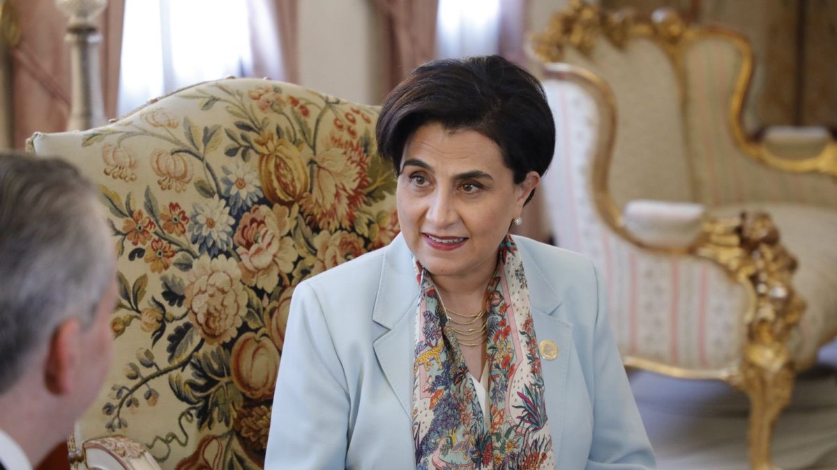 La canciller presentó su denuncia contra la vicepresidenta ante el TCE.