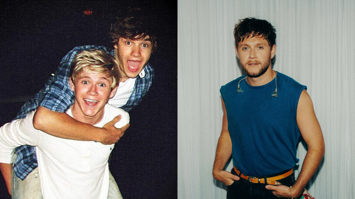 Niall Horan fue el último de los One Direction  en decirle adiós a Liam