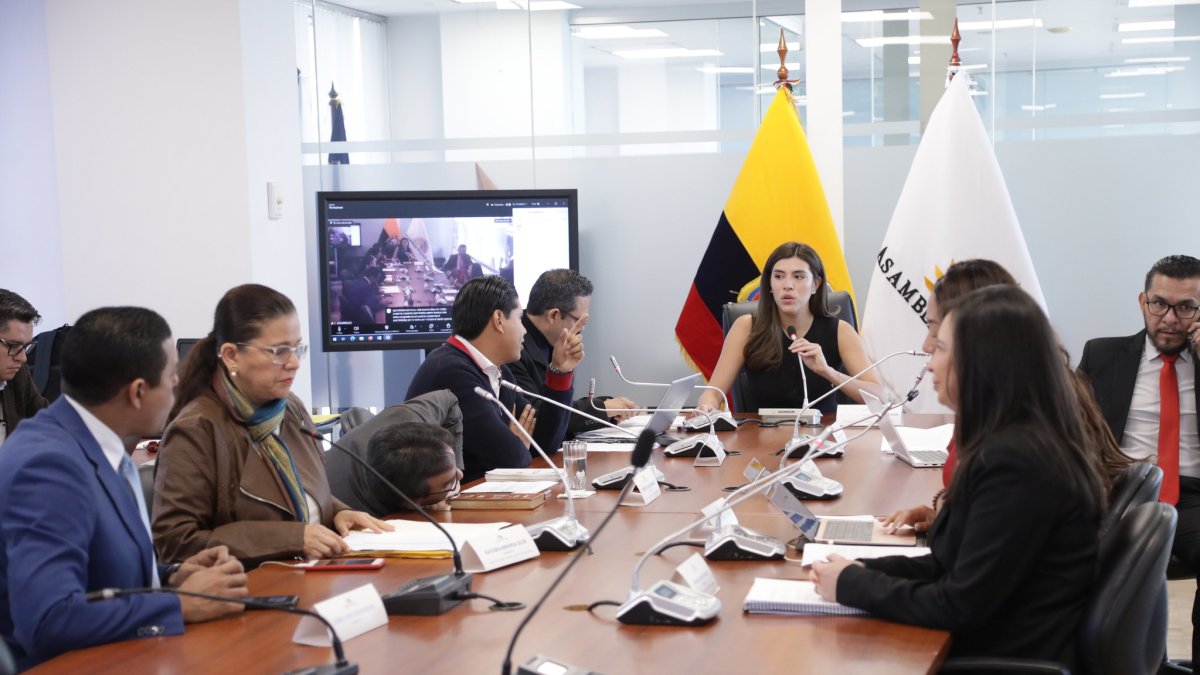 La oficialista Valentina Centeno presidente la mesa de Desarrollo Económico.