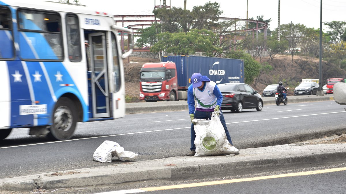 Urvaseo recogió un total de 200 sacos.