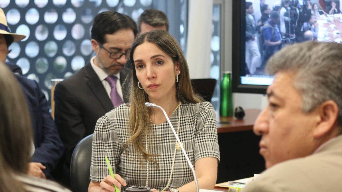 La exministra de Producción del Gobierno de Daniel Noboa, Sonsoles García.