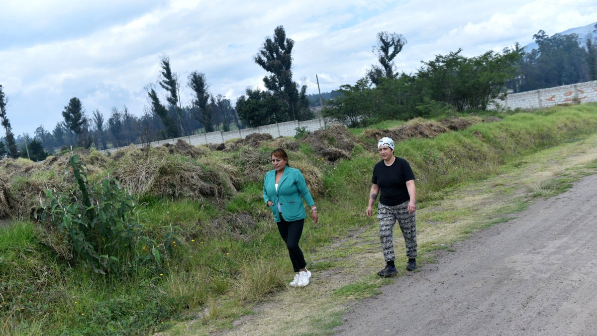 El terreno, de 10.000 metros cuadrados, está cerca del Parque Central de Tababela.