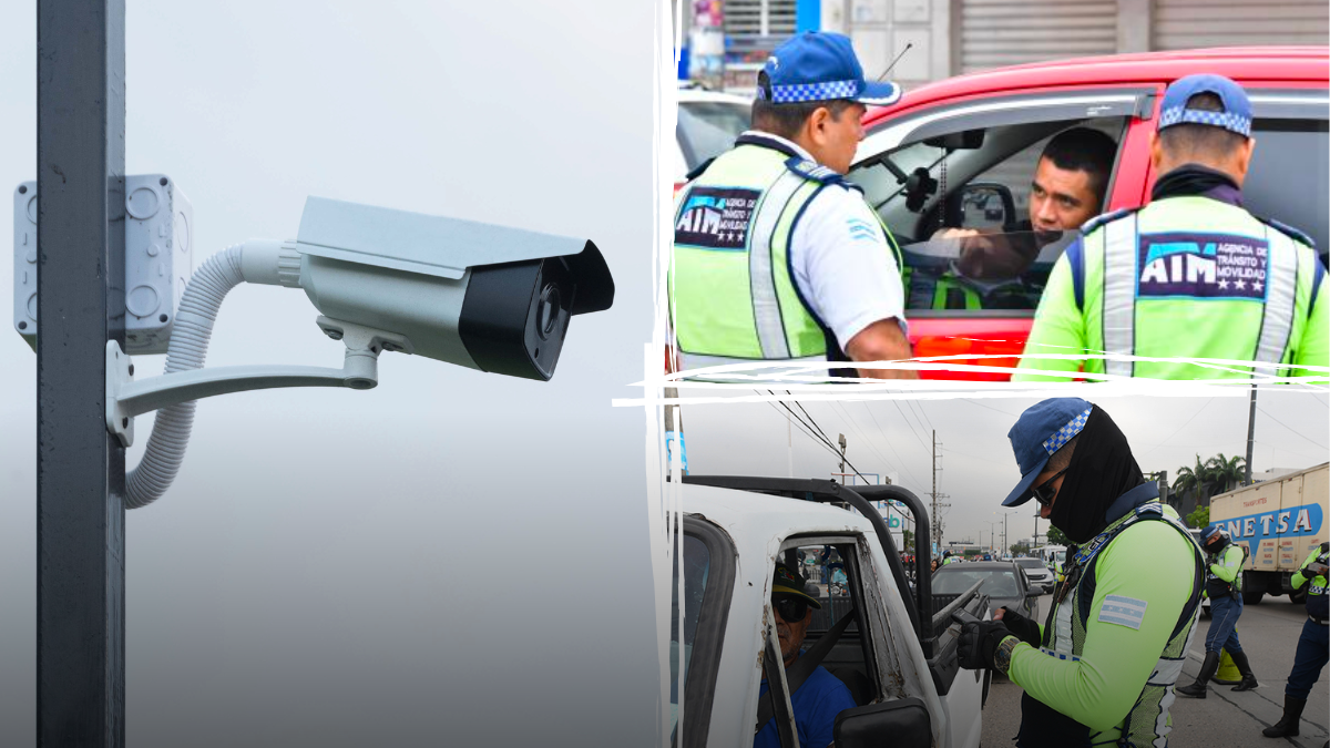 Las contravenciones se notificarán por correo electrónico