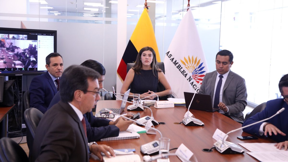 Comisión. La gobiernista Valentina Centeno preside la mesa de Desarrollo Económico de la Asamblea.