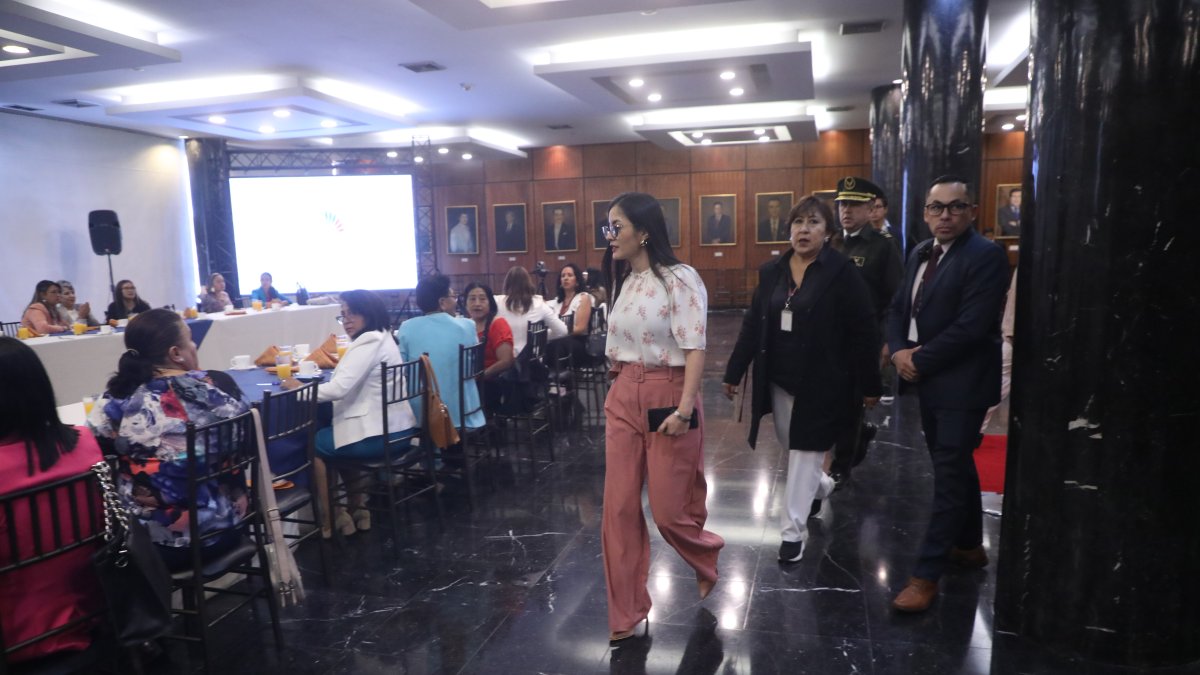 Proceso. La presidenta de la Asamblea Nacional solicitó a la Contraloría General del Estado su intervención.