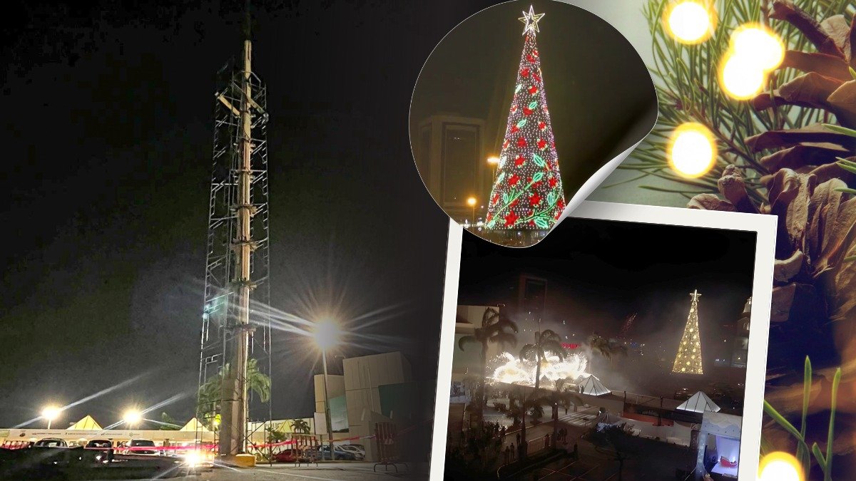 Las labores para armar el árbol navideño del Policentro comenzaron este lunes 21 de octubre.