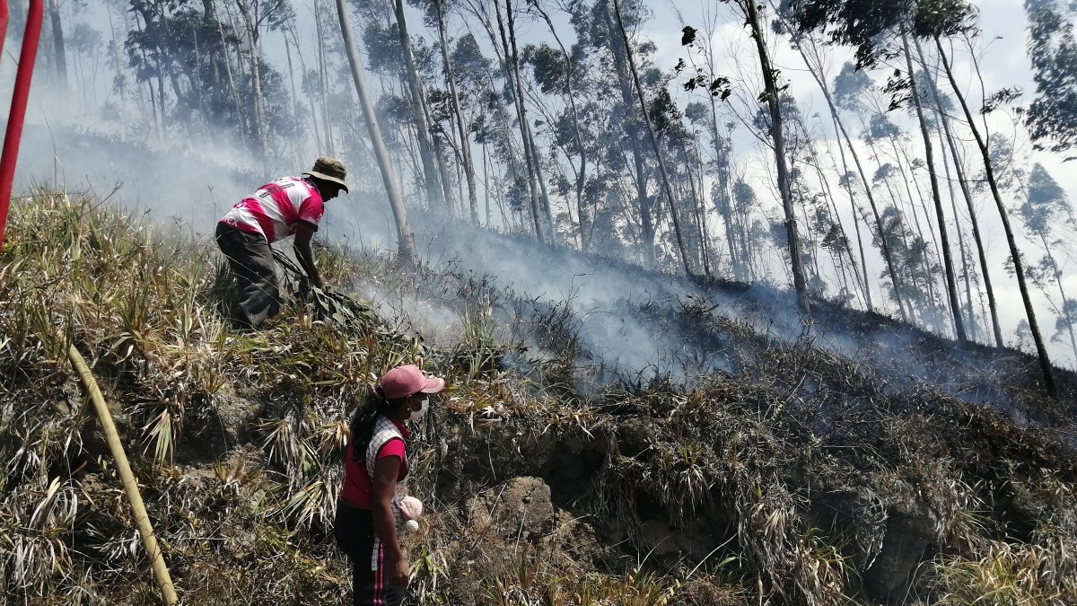 Comunidad. Los comuneros también se han unido para la lucha contra los incendios, aunque también se conoce que algunos son provocados.