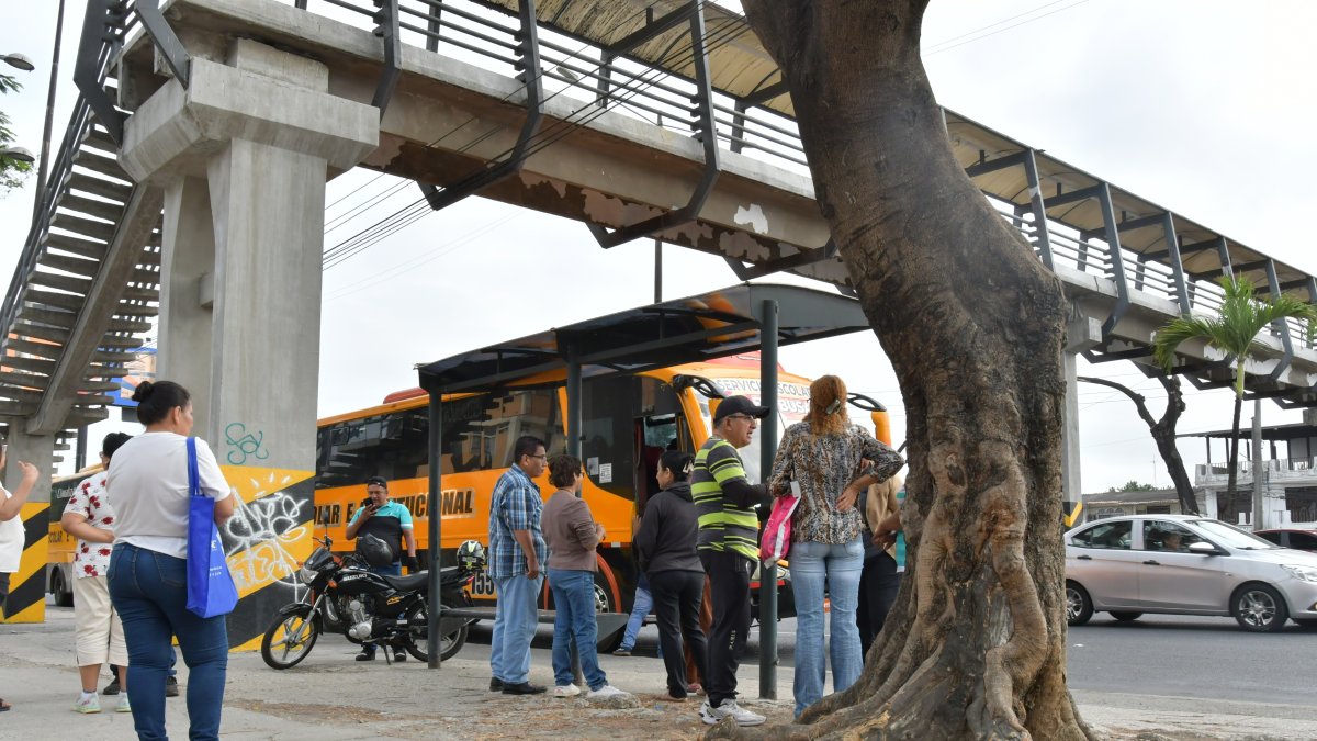 Un expreso recoge a los estudiantes en el mismo punto todos los días, en la av. 25 de Julio