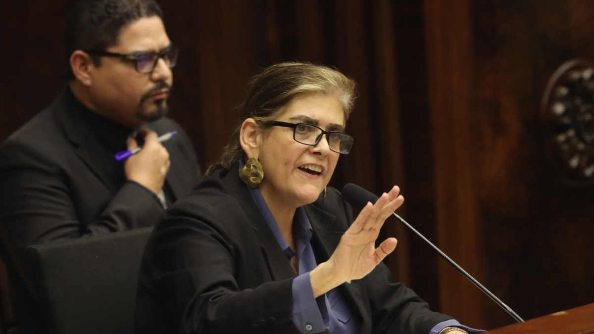 Mónica Palencia en el juicio político.