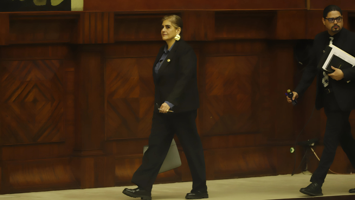 Mónica Palencia en el pleno de la Asamblea Nacional.