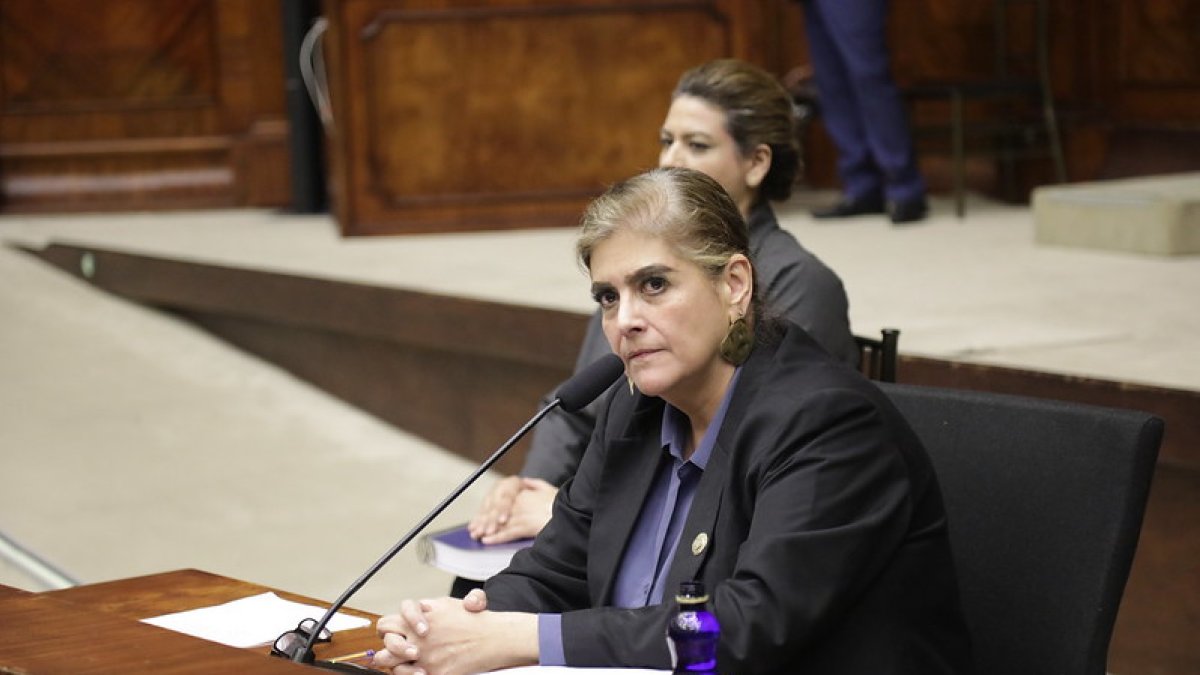 El oficialismo ha expresado preocupación e indignación ante la posibilidad de revertir la votación que salvó a Mónica Palencia.