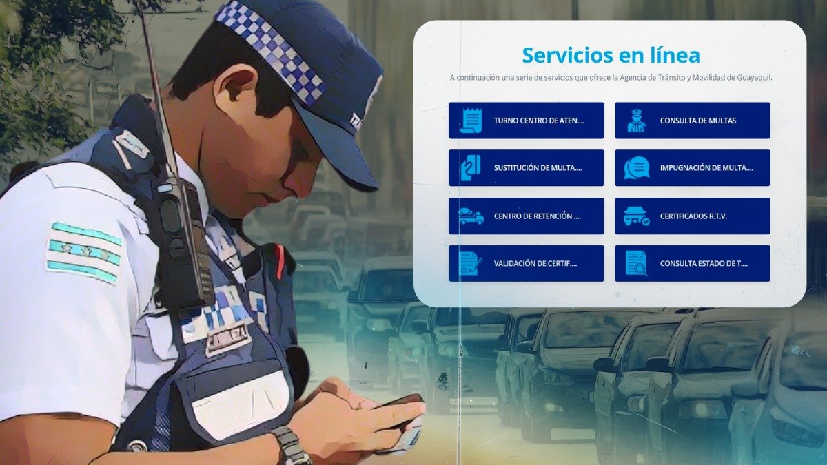 Se puede impugnar desde la página web