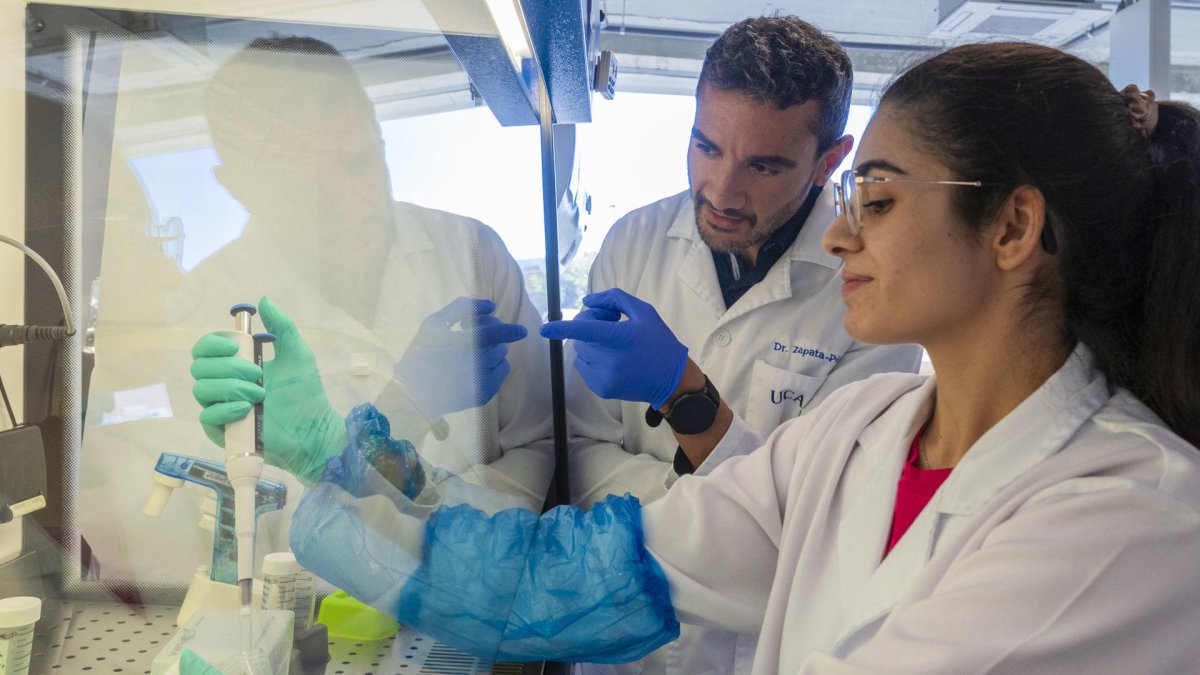 Miembro del equipo de investigación del metabolismo y regulación génica de enfermedades, en el laboratorio del centro UCAM Hitech en la pedanía murciana de Guadalupe.