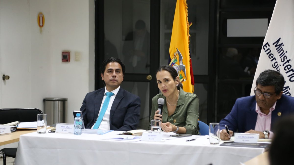 Proceso. Este 24 de octubre se celebró la primera reunión del Comité Asesor Permanente en Materia de Energía Eléctrica en que se incluyó al sector privado.