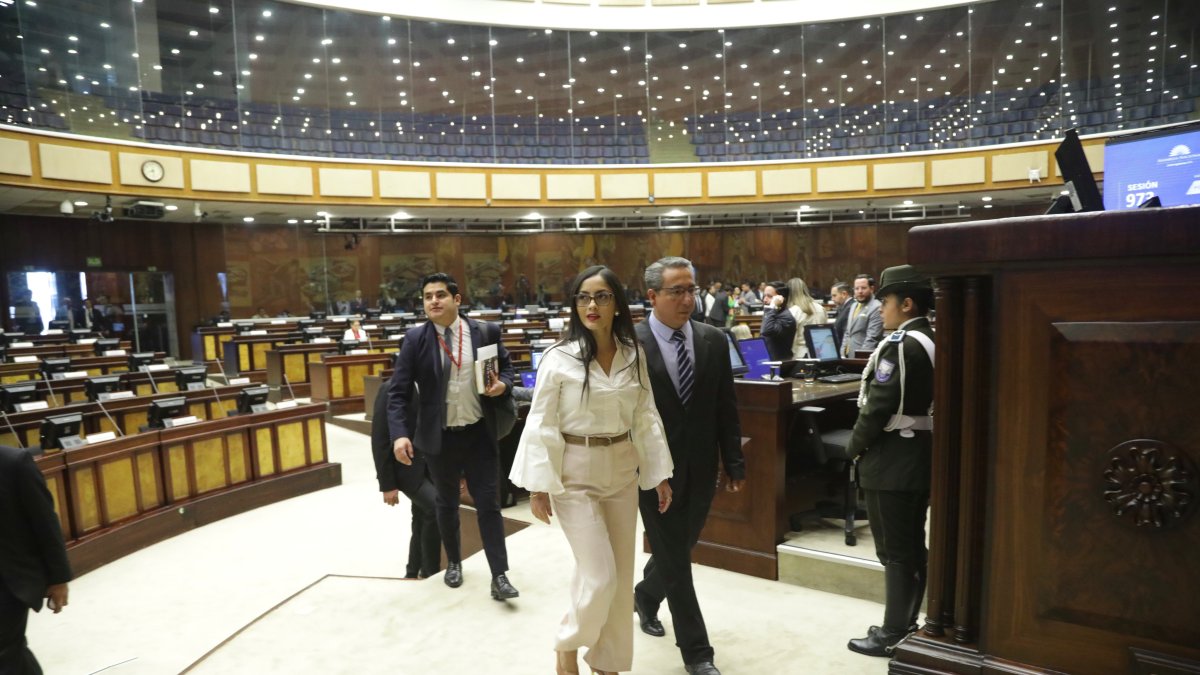 La presidenta de la Asamblea Nacional, Viviana Veloz.