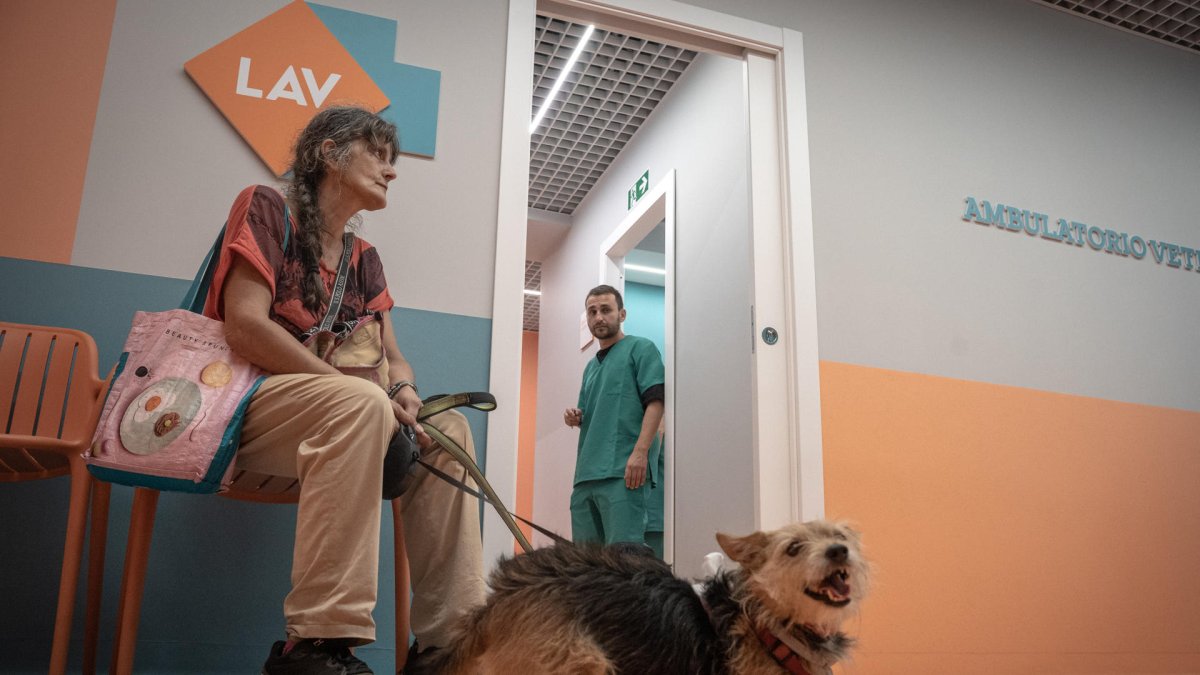 La primera clínica veterinaria social de Italia ha abierto sus puertas en Roma, con el objetivo de atender de forma totalmente gratuita a las mascotas de las personas más vulnerables.