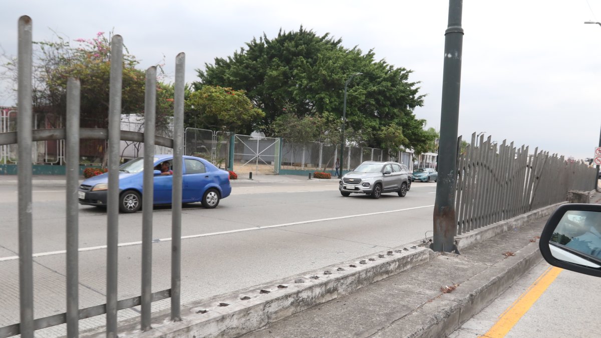 Ausencia de los elementos metálicos.