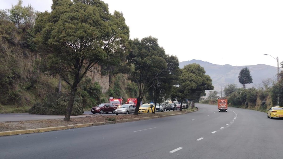 El paso de los vehículos se alteró por un siniestro de tránsito entre tres vehículos en la avenida Simon Bolívar, este 28 de octubre de 2024.