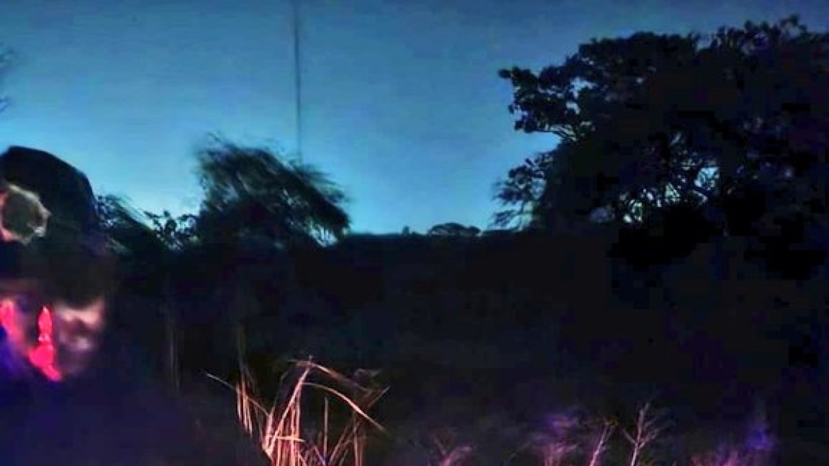 El caso fue dado a conocer a través de las redes sociales.