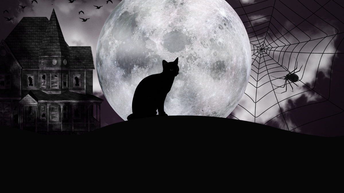 Agenda de actividades en Quito.