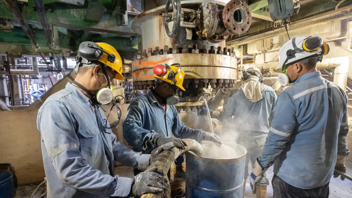 Ecuador buscar diversificar su matriz energética.