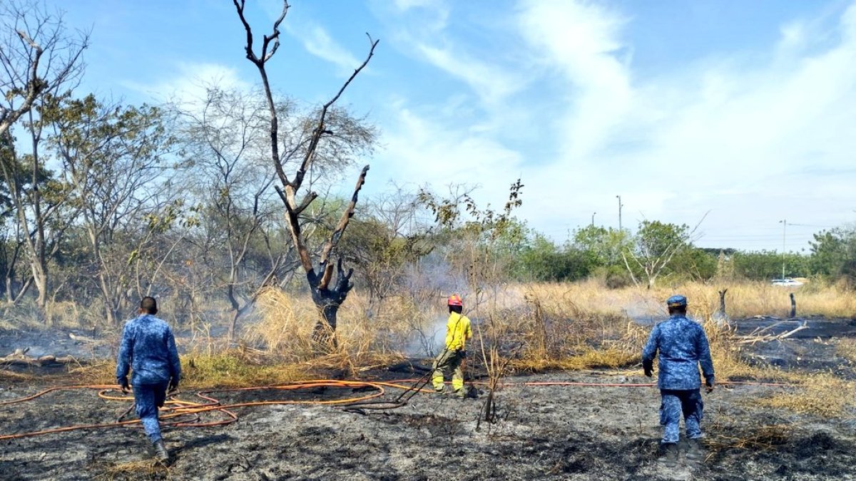 A través de fotografías se dio a conocer el hecho.